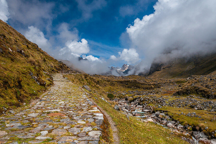 El Choro Trail