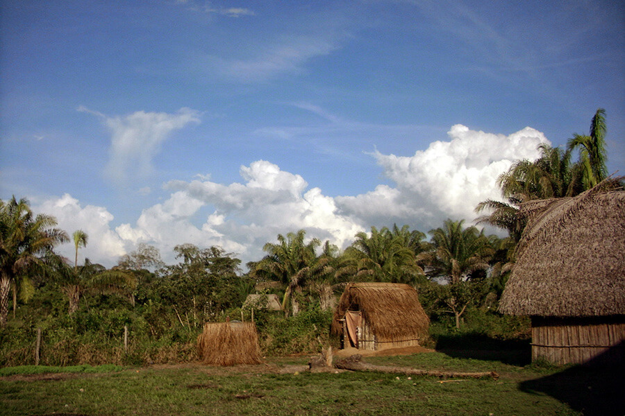 Los Llanos de Moxos