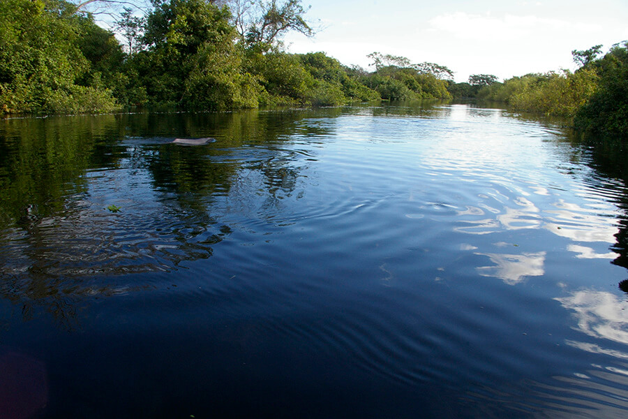 Santa Ana del Yacuma