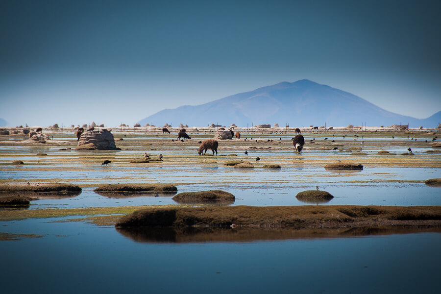 Lago Uru Uru