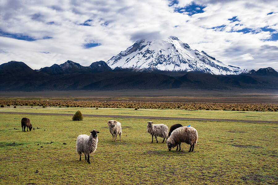 Sajama Park