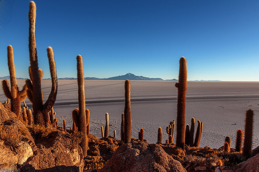 Isla Incahuasi