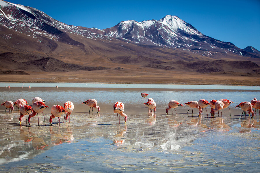 Laguna Hedionda