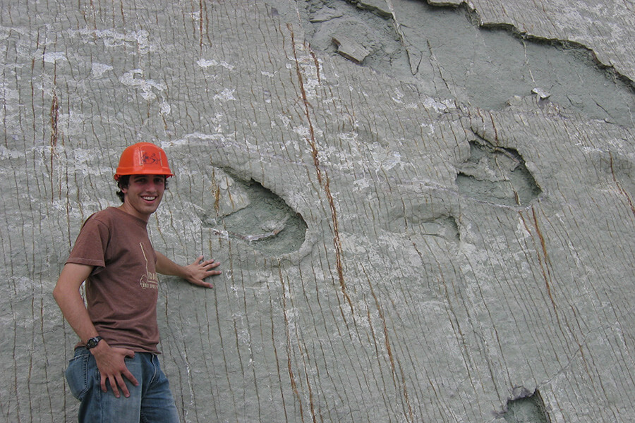 Dinosaur Fossils & Footprints