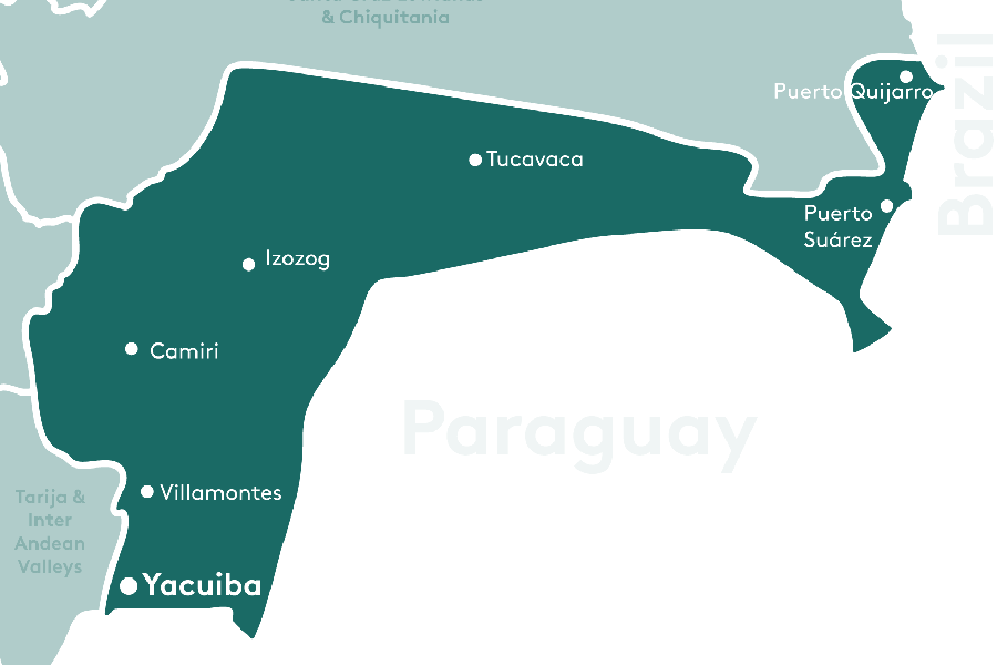 Gran Chaco & Pantanal Lowlands region map